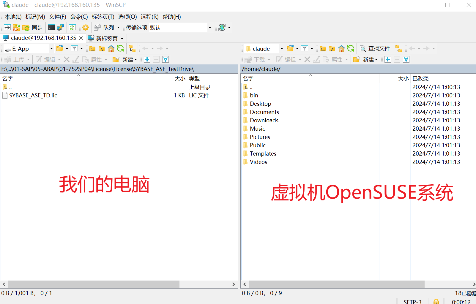 image-20240714140150342