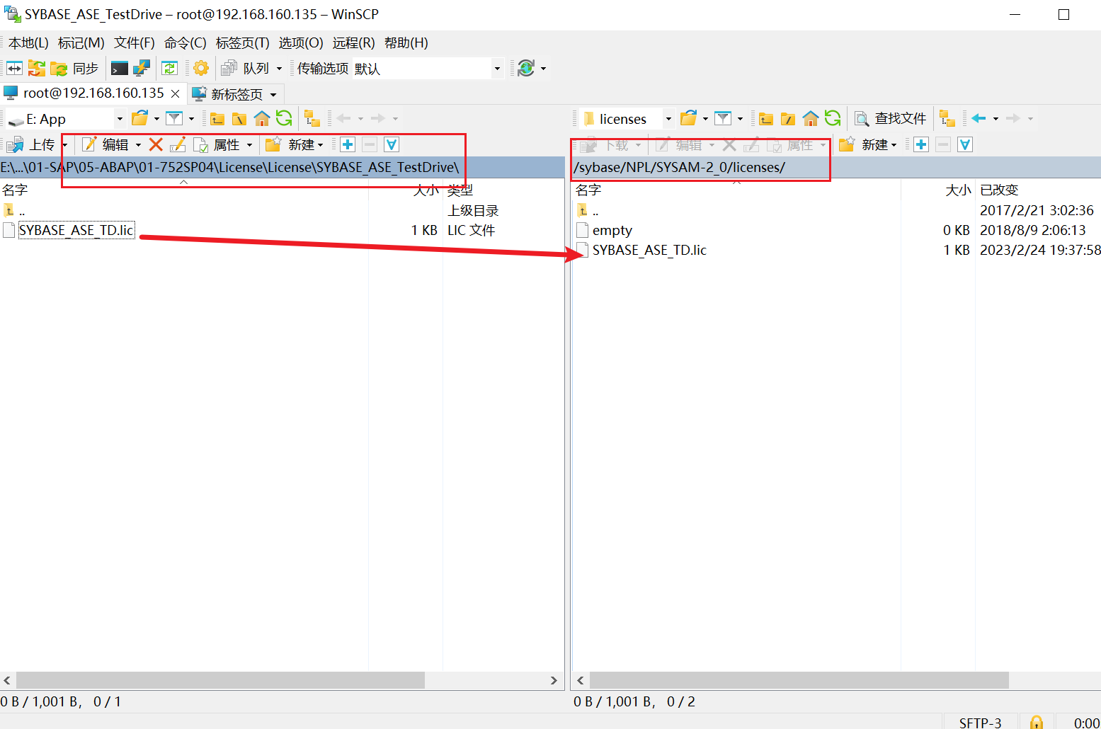 image-20240714142956674